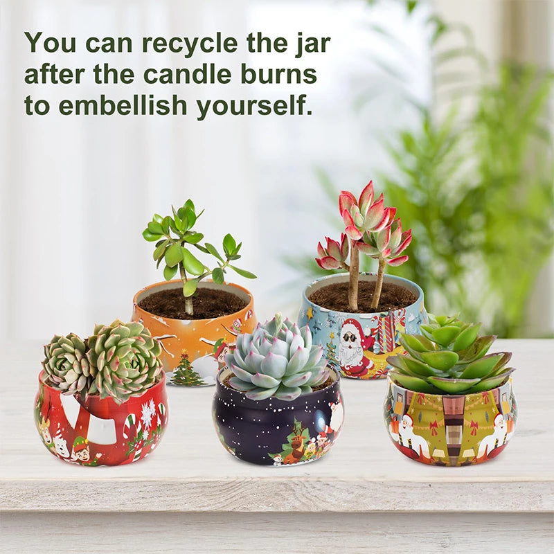 Christmas Scented Candles Set 12 Bulk Home Aromatherapy Candles Perfect Gift for Women Ideal for Candlelight Dinners Spa Baths